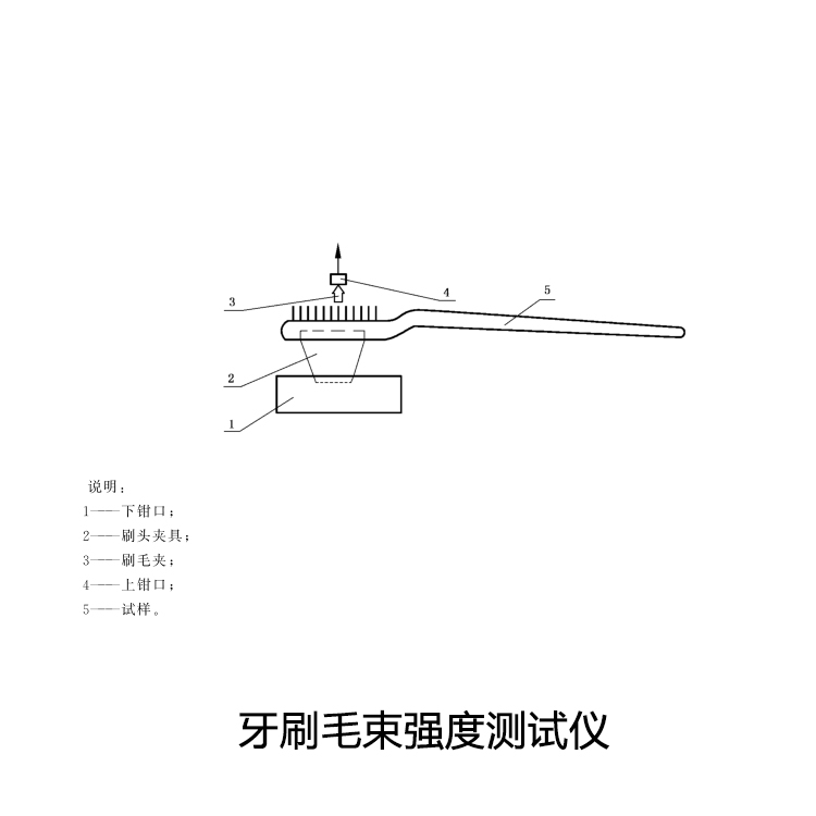 牙刷毛束强度测试仪